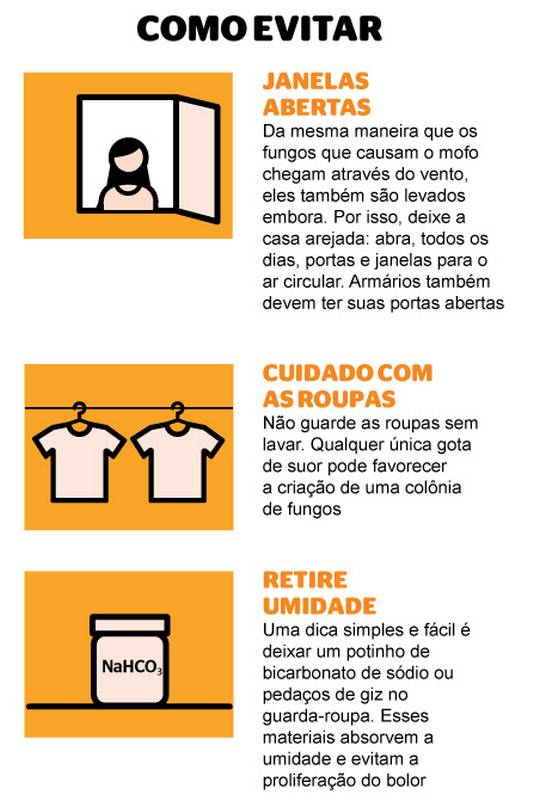 Guarda-Roupa Livre de Mofo: Guia Completo de Limpeza e Prevenção