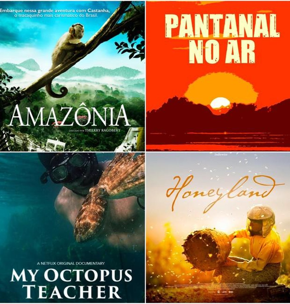 séries documentais sobre natureza e animais