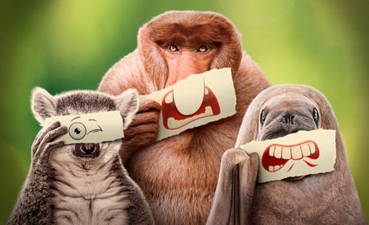 Documentários sobre a vida marinha: Mergulhe nas profundezas com 'Segredos das Baleias'.