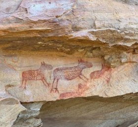 Guia Completo: Como Planejar sua Visita à Serra da Capivara