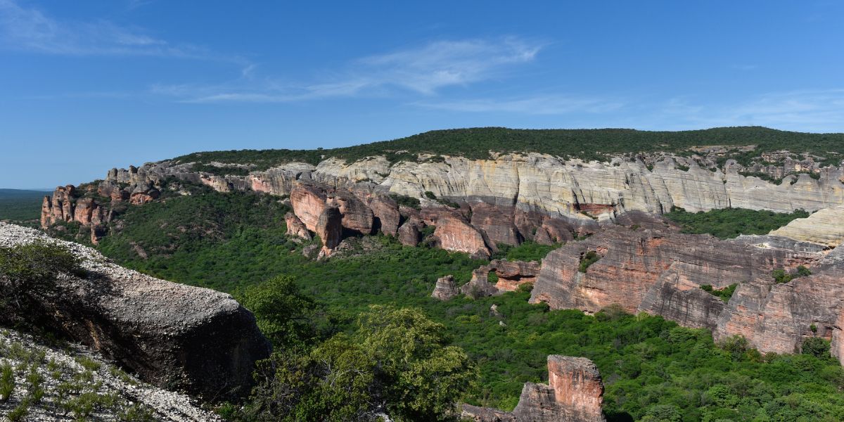 A Importância da Serra da Capivara para a História da Humanidade nas Américas