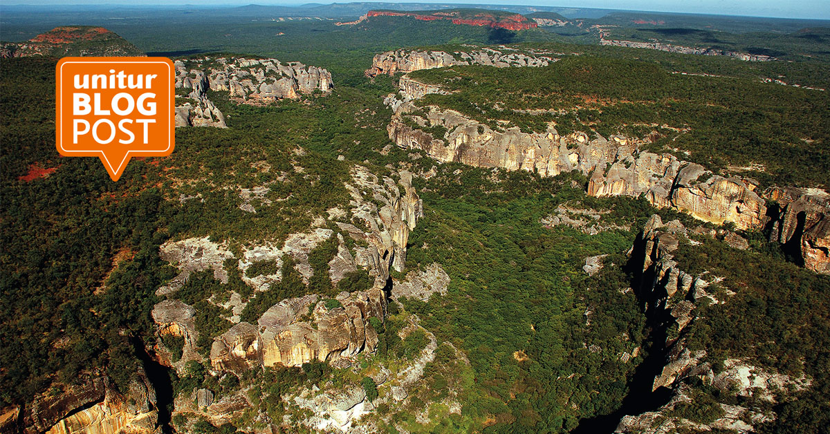 Dicas Essenciais para Explorar o Parque Nacional Serra da Capivara