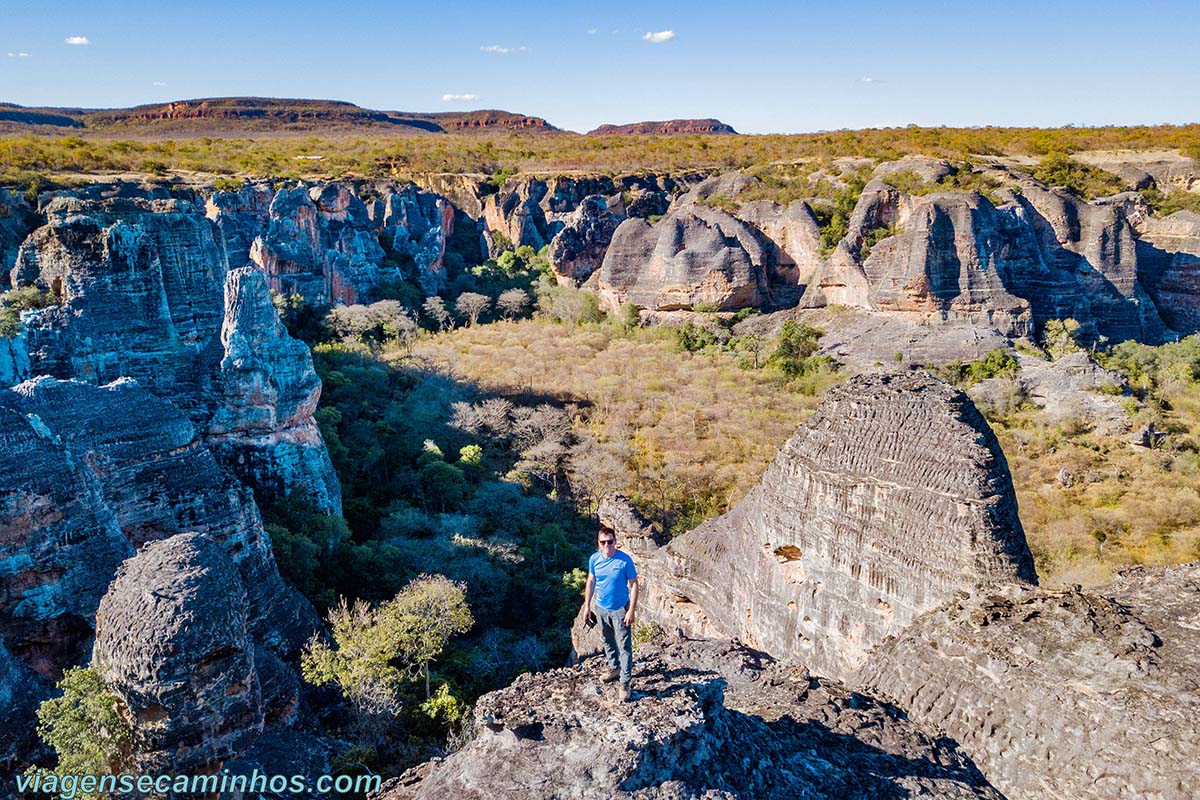 Museus da Serra da Capivara: Descubra o Legado Arqueológico do Piauí