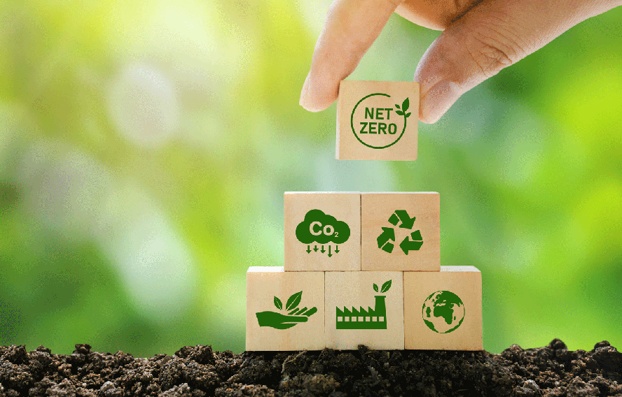 exemplos de práticas sustentáveis em pequenos negócios