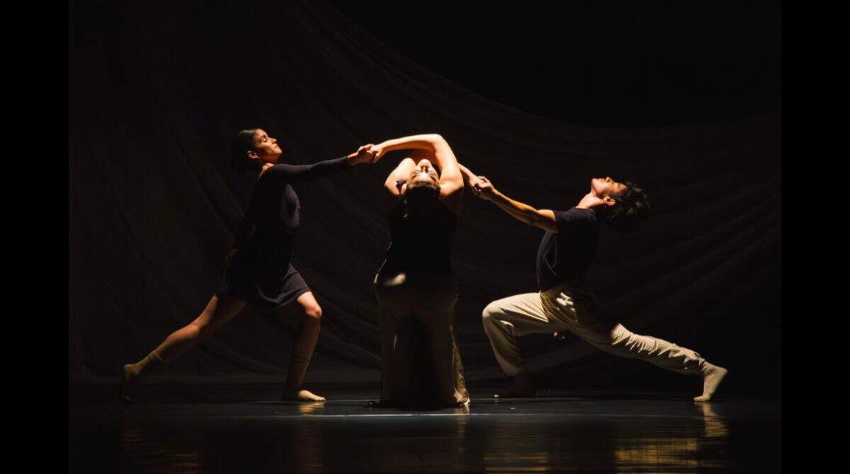 Teatro-Dança vs. Balé Clássico: Entenda as Diferenças e Similaridades