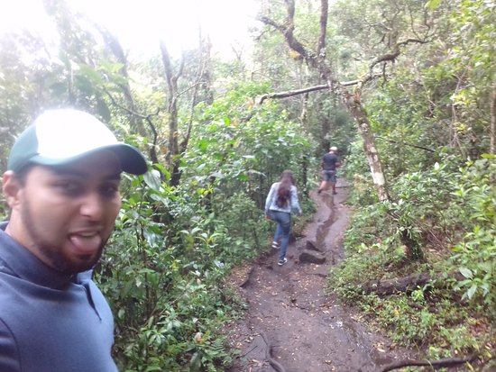 Comparativo de Trilhas em Monte Verde: Pedra Redonda vs. outras opções