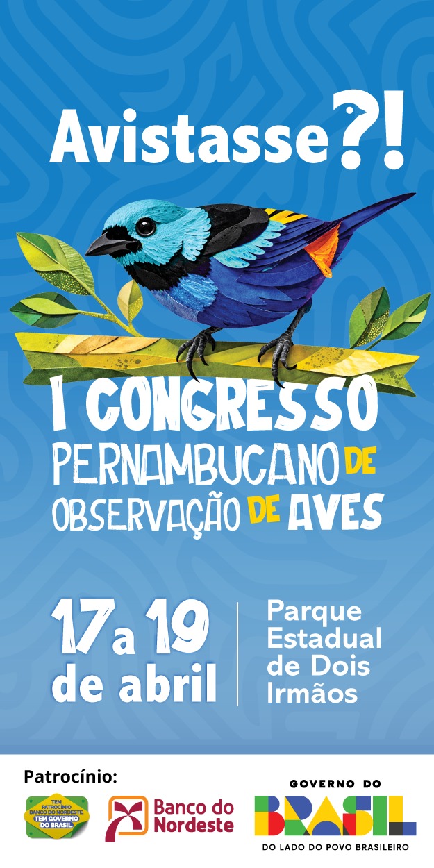 turismo de observação de aves