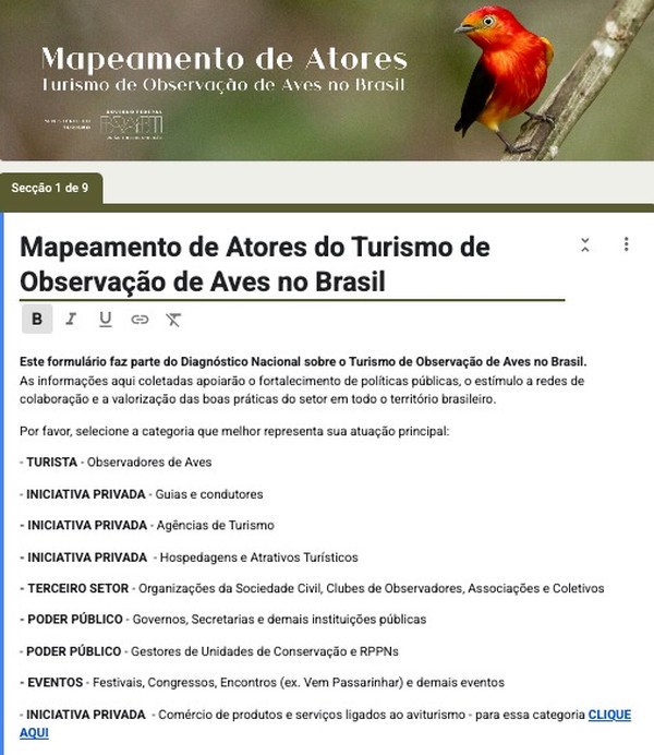 erros comuns ao observar aves e como evitá-los